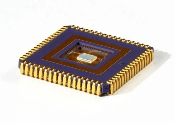 SENNA SNN chip